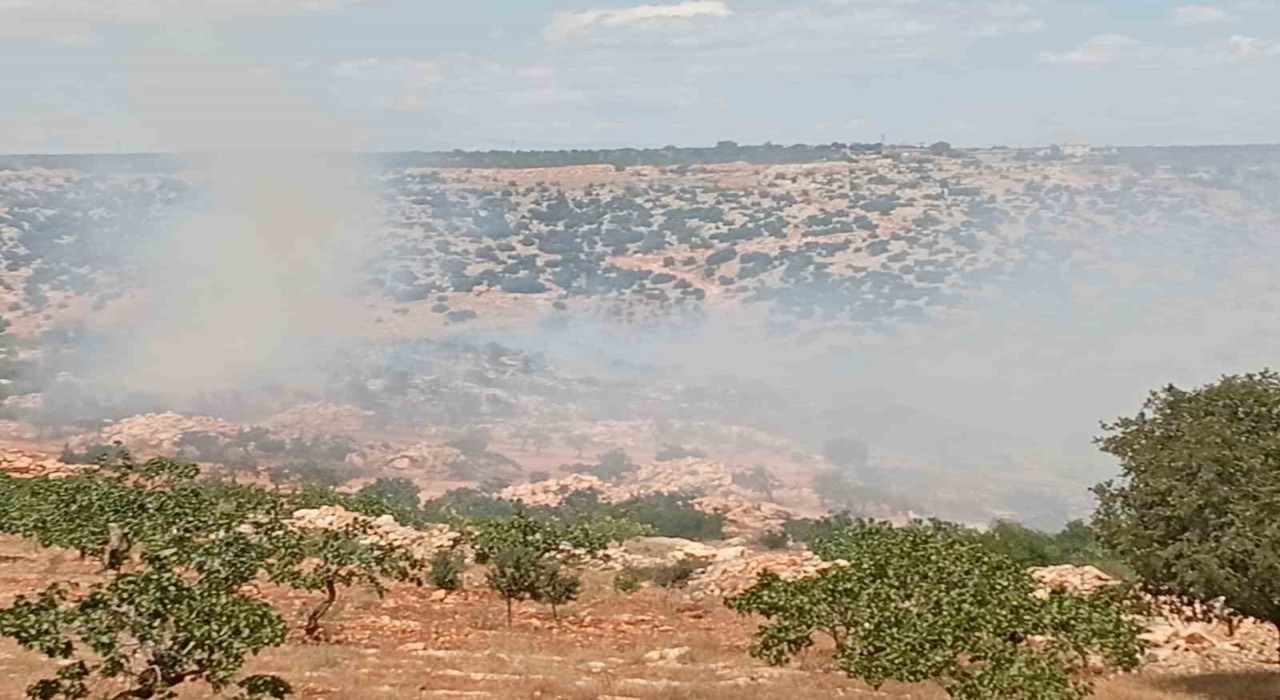 Gaziantepte fıstık ve zeytin bahçelerinde yangın