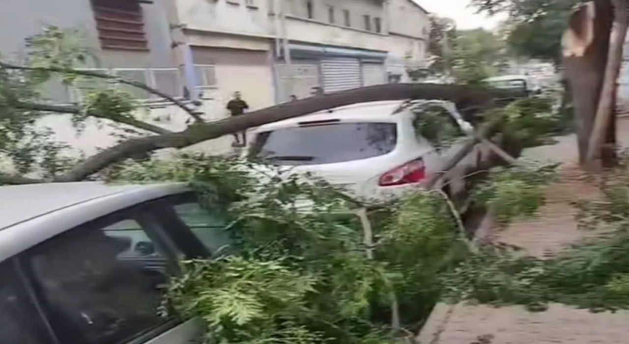 Gaziantepte şiddetli fırtına: Ağaçlar devrildi, araçlar zarar gördü, toz bulutu etrafı kapladı