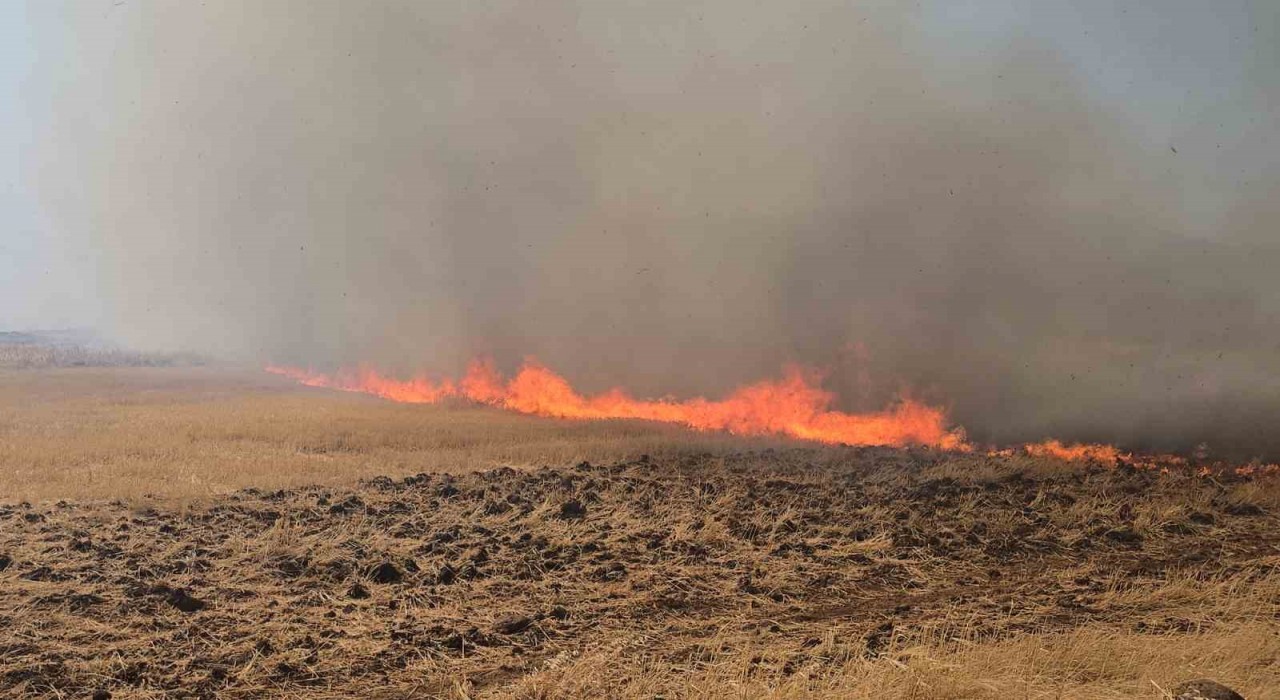 Gaziantepteki çıkan anız yangını fabrikaları tehdit etti
