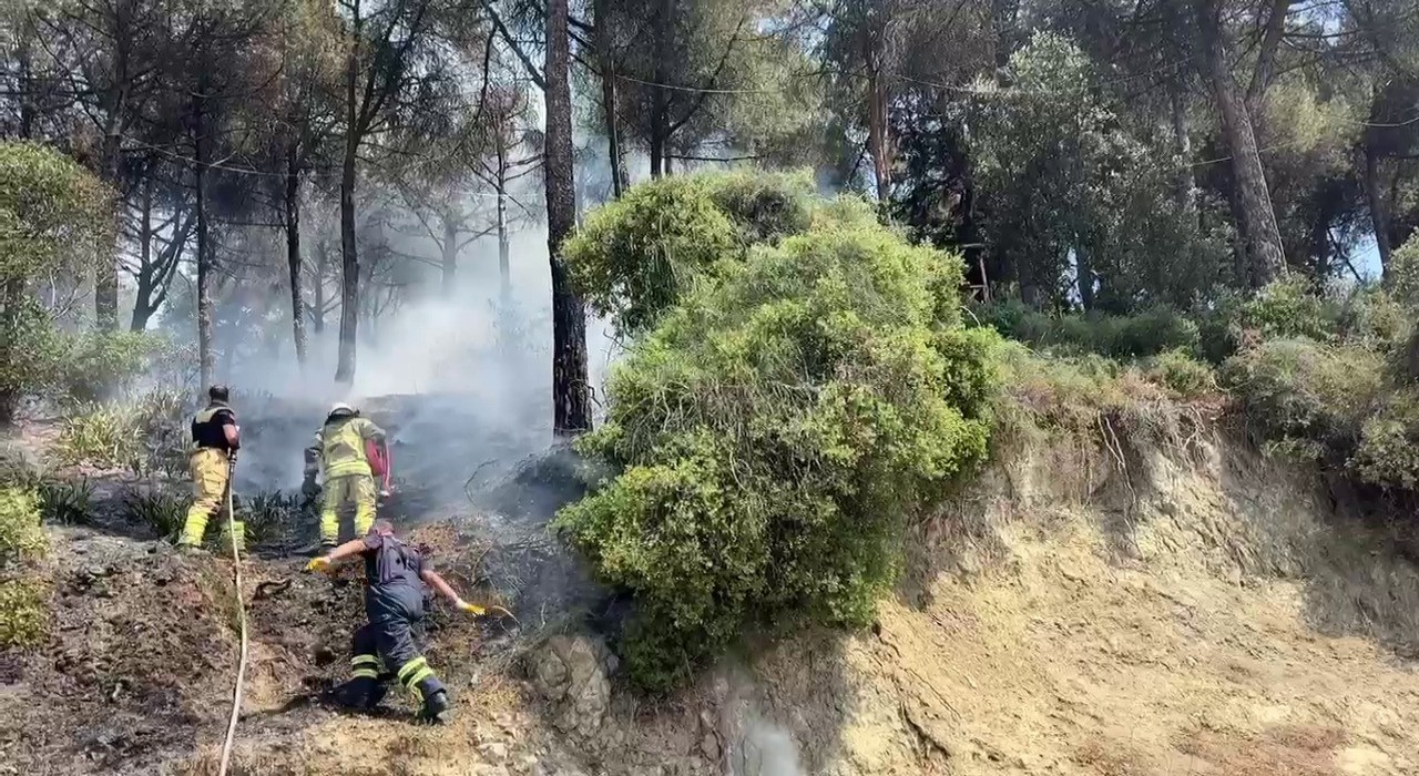 Gemlikte çamlık alanda çıkan yangın kısa sürede söndürüldü