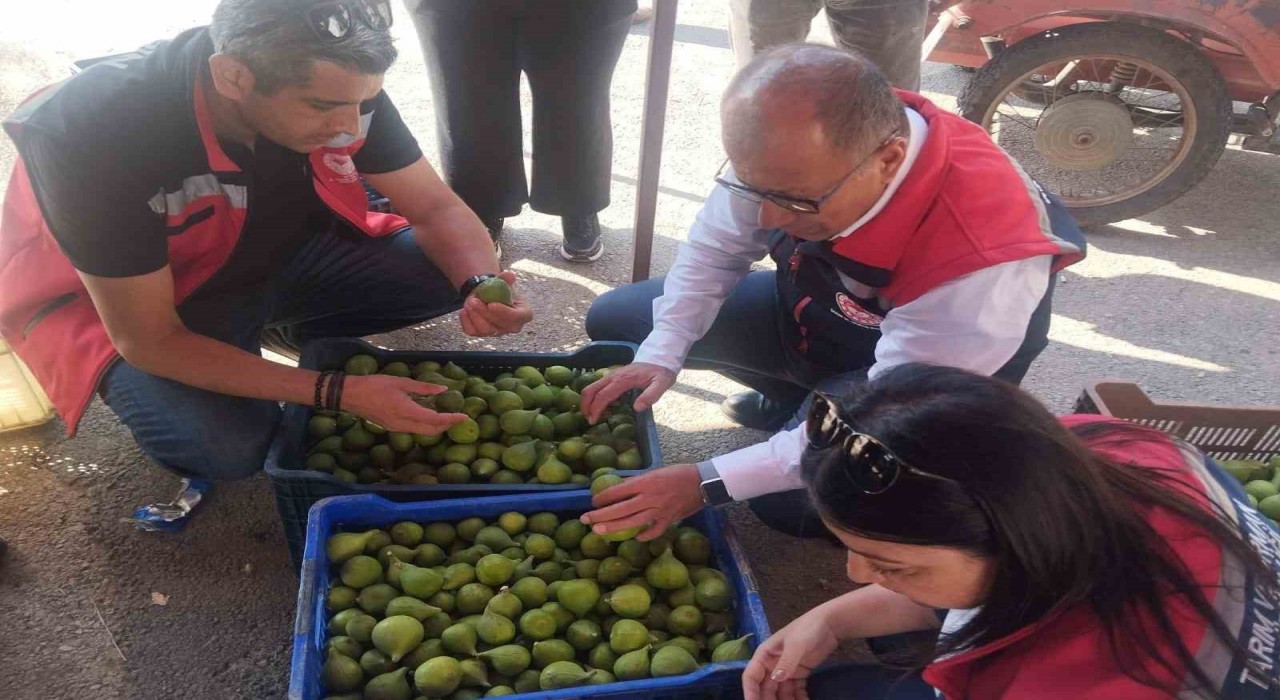 Germencikte ilek tezgahları denetlendi