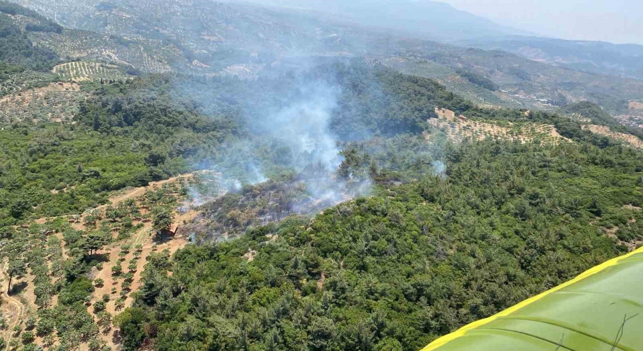 Germencikte orman yangını