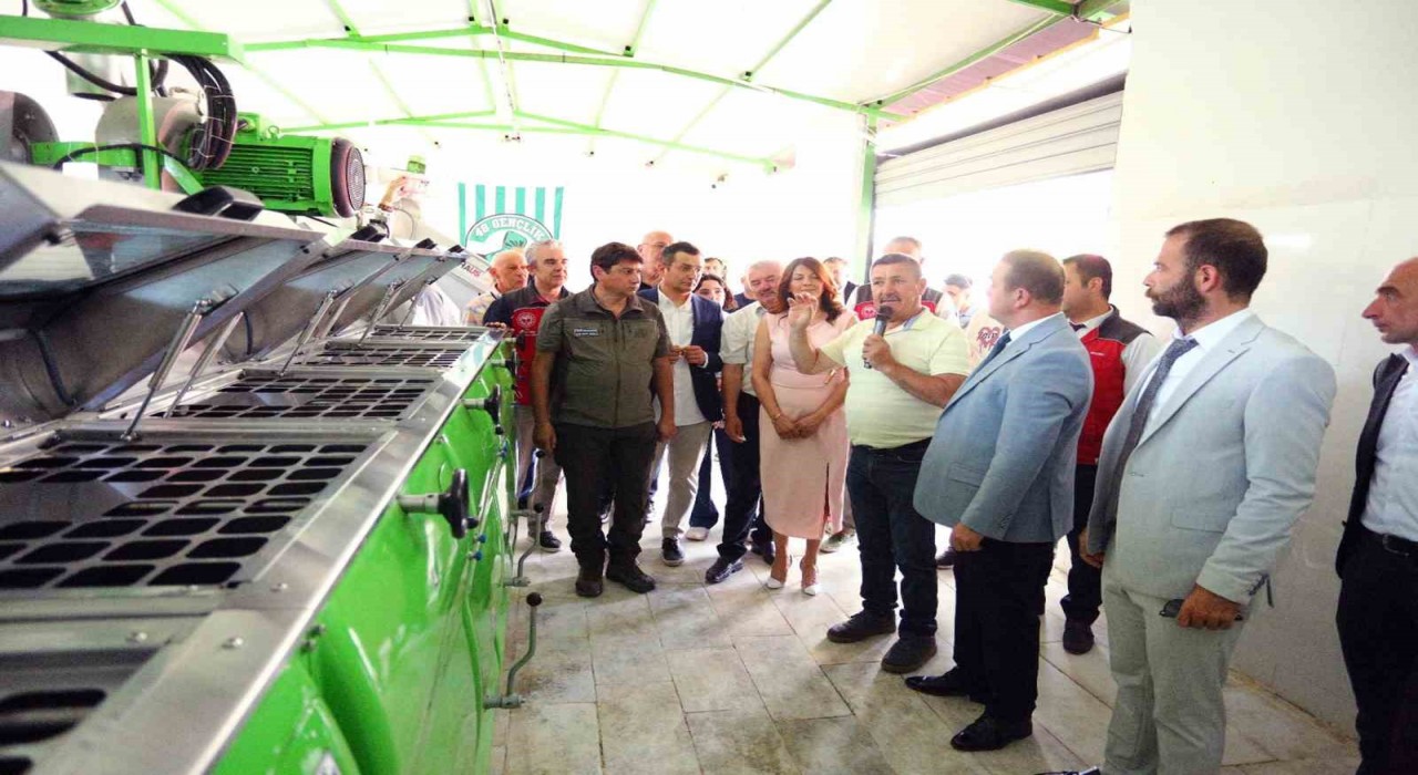 Göktepede Zeytinyağı etkinliği