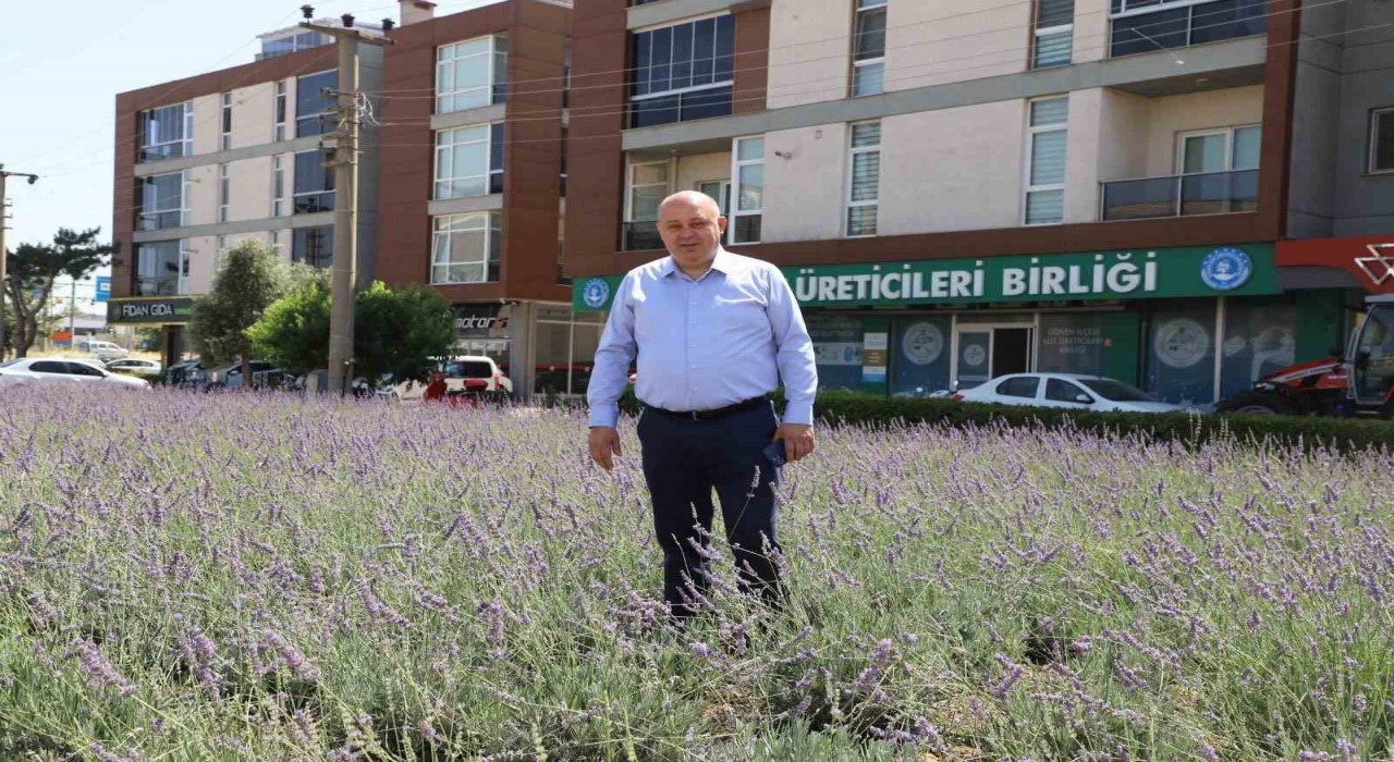 Gönende biyogaz tesisine ÇED olumlu kararı