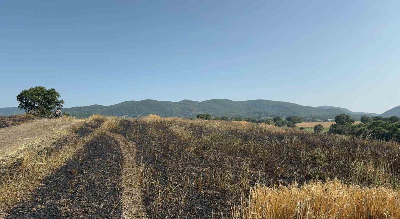 Gönende buğday tarlasında çıkan yangında 50 dönüm arazi kül oldu