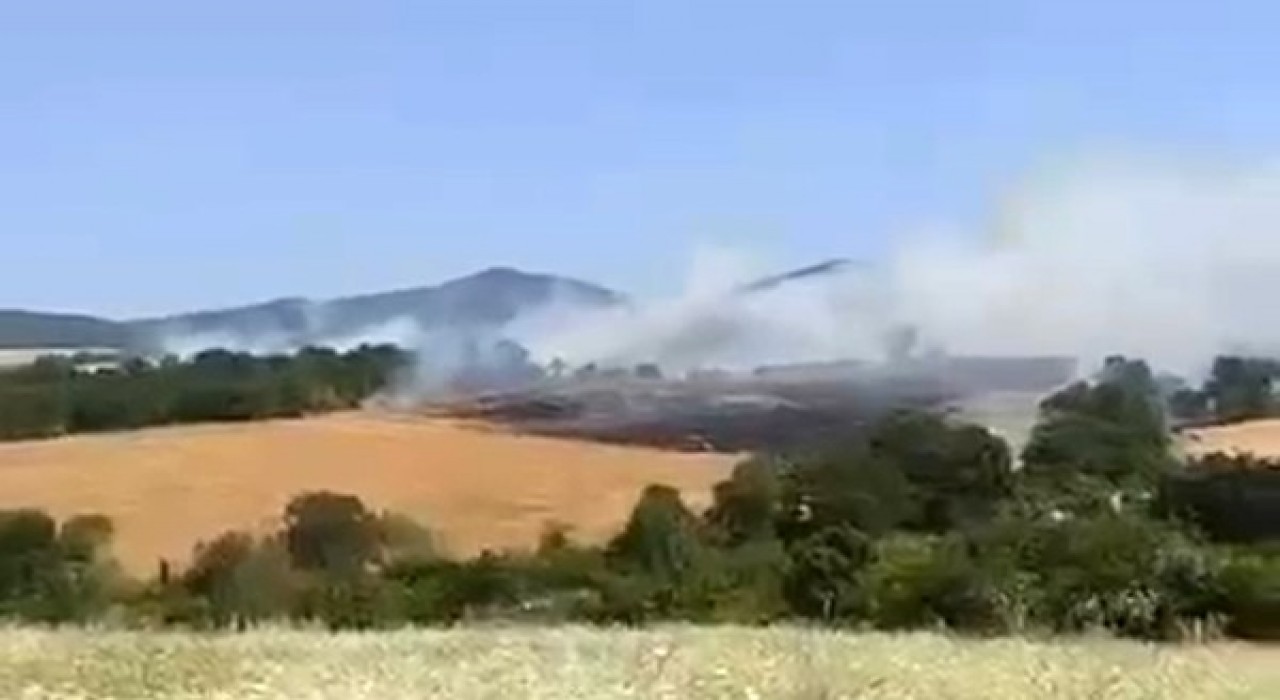 Gönende buğday tarlasında yangın çıktı