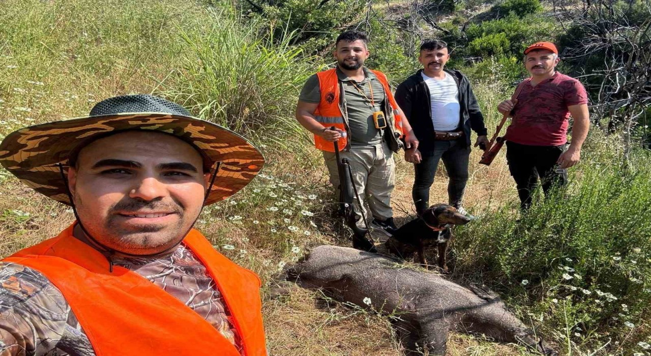 Gündoğmuşta domuz sürek avı düzenlendi