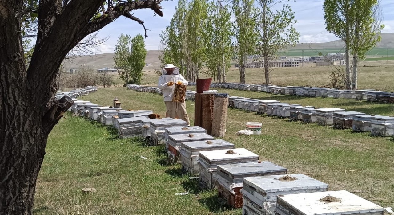 Hakkâride kırsala 38 milyon TL hibe desteği