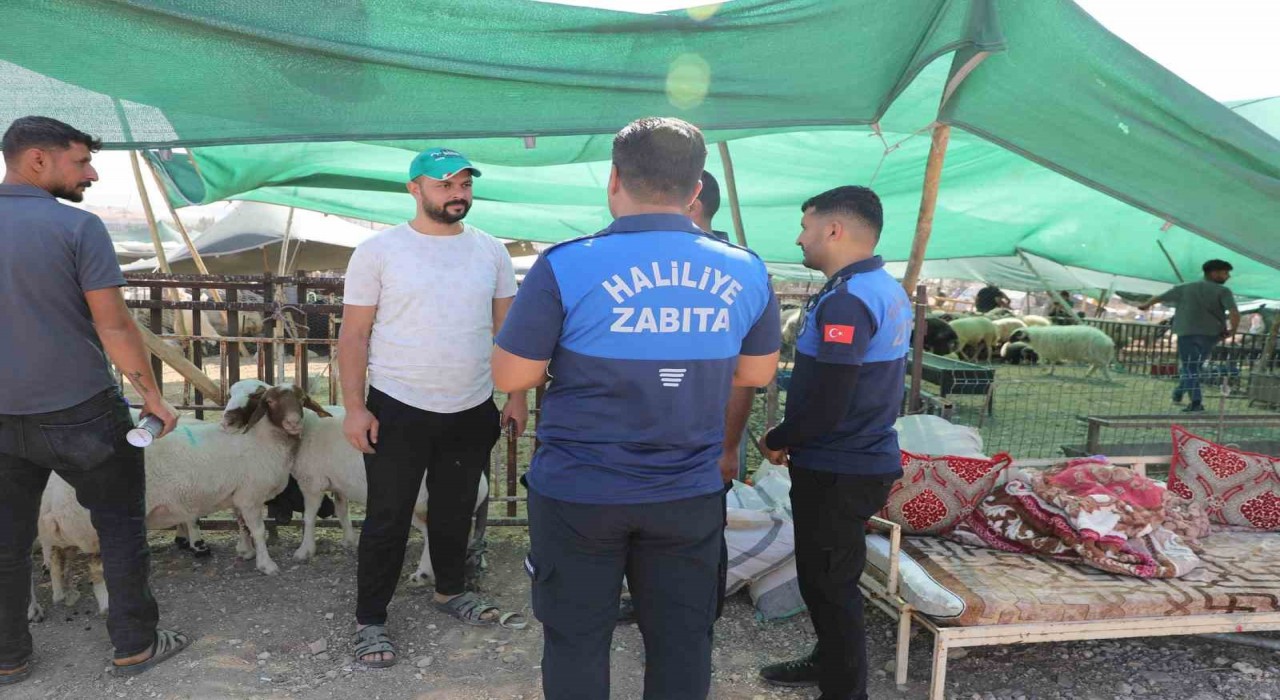 Haliliye Belediyesi 662 personeliyle sahada