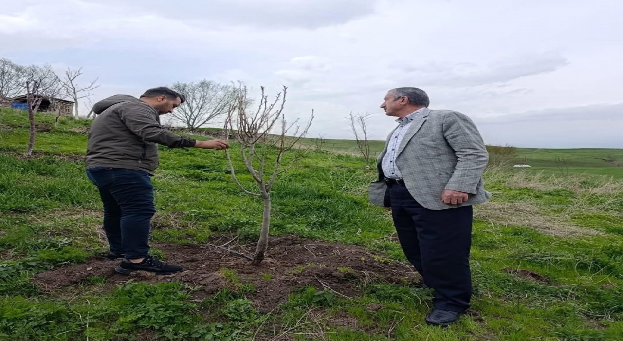 Hamurda Çiftçilere budama ve aşılama eğitimi verildi