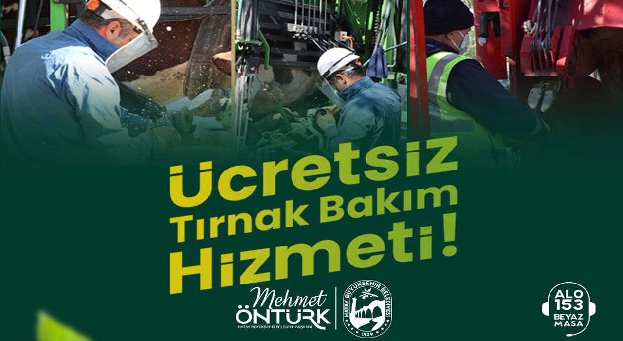 Hatay Büyükşehir Belediyesi’nden Büyükbaş Üreticilere Ücretsiz Tırnak Bakım Hizmeti