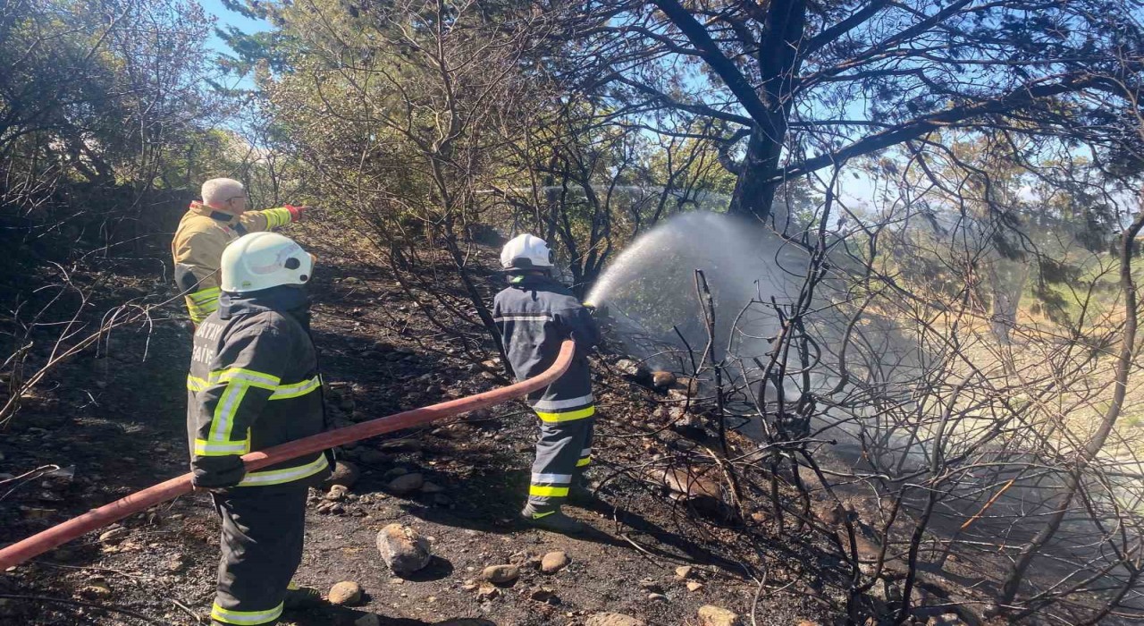 Hataydaki orman yangını söndürüldü