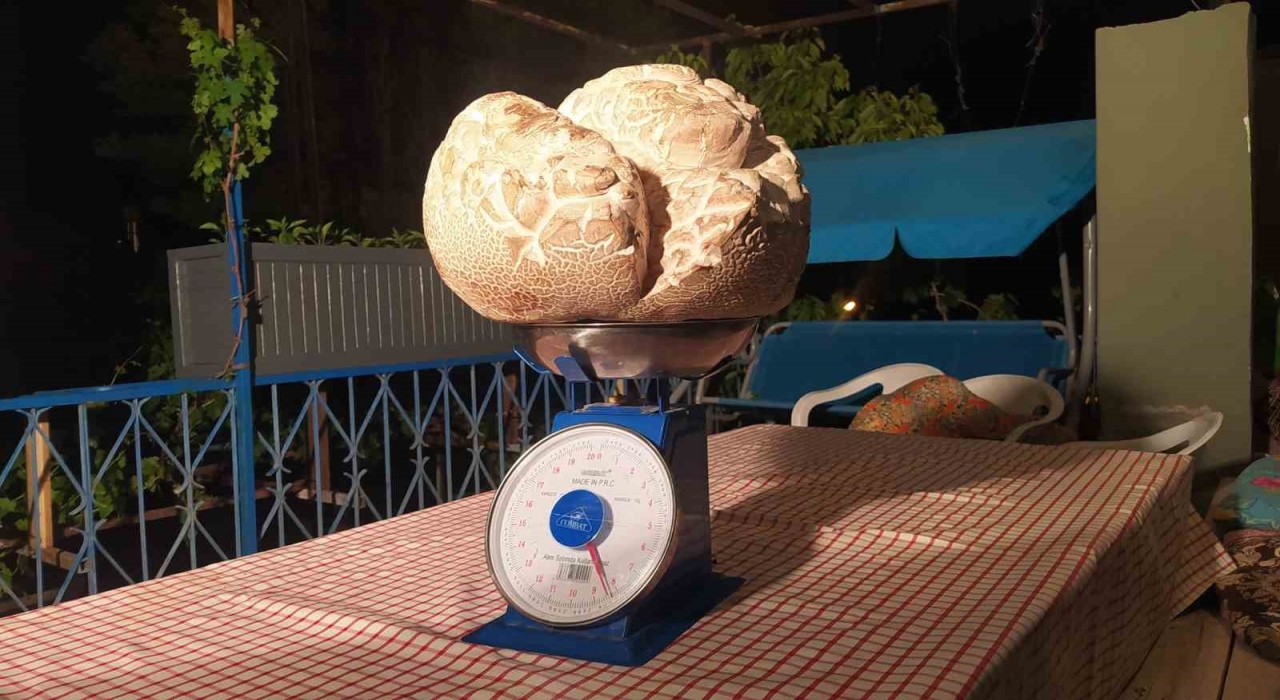 ‘Hayatımda ilk defa gördüm dedi, görenler gözlerine inanamadı