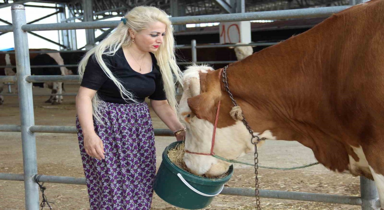 Hayvan pazarında kadın gücü: Ailesi için mücadele ediyor
