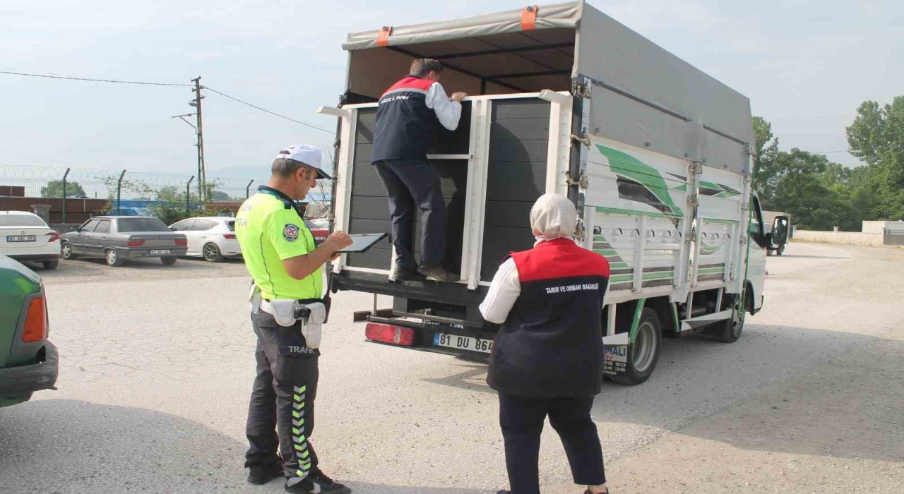 Hayvan pazarında sıkı denetim