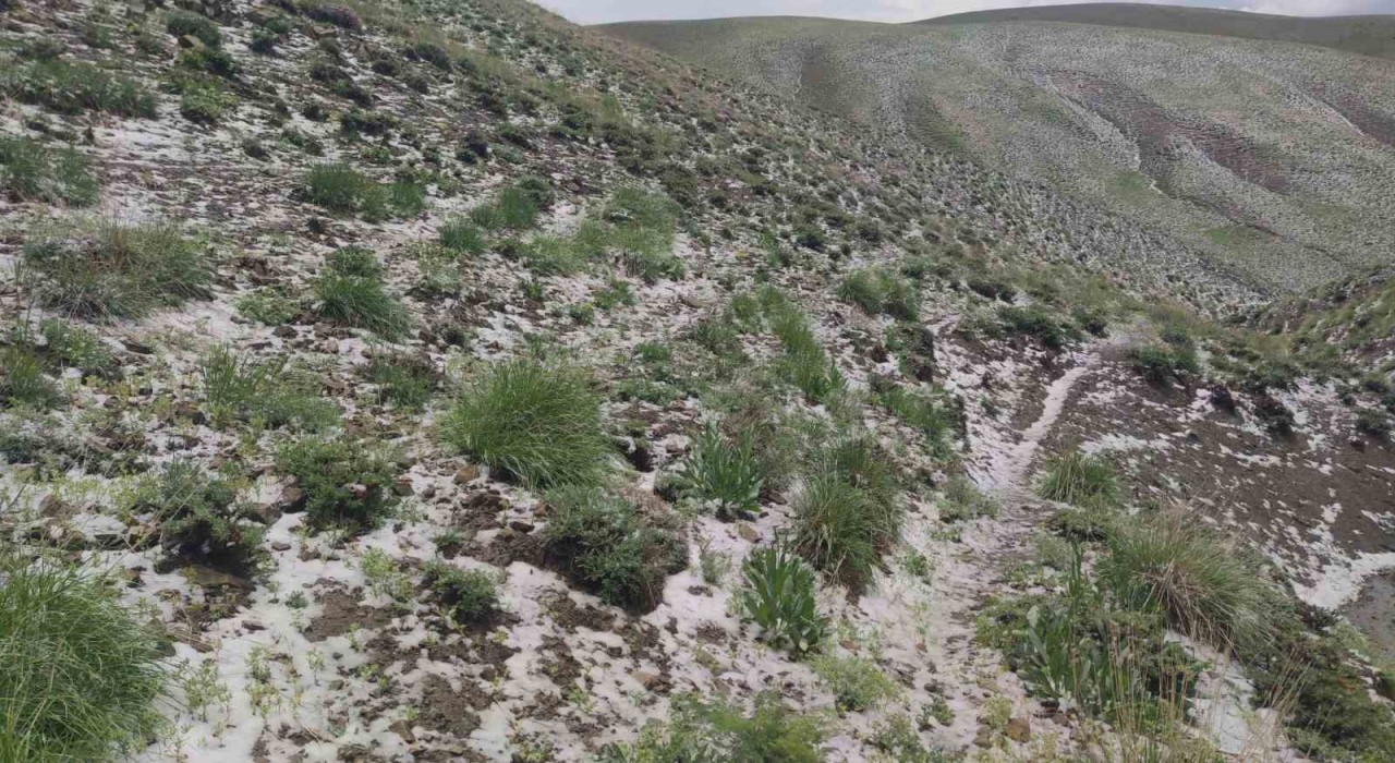 Haziran ayında kar sürprizi: Erek Dağının etekleri beyaza büründü