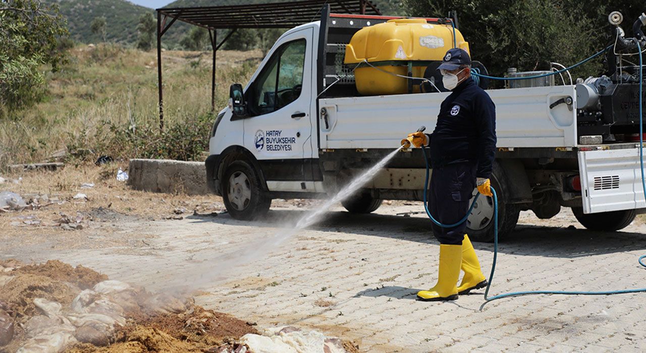 HBB, Kurban Bayramı Sonrası İlaçlama Çalışmalarıyla Halk Sağlığını Koruyor