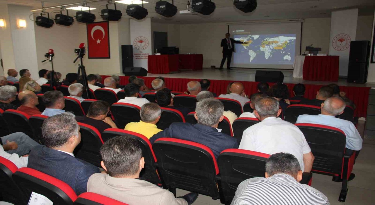 Hedef ‘1 milyon samuray arısı