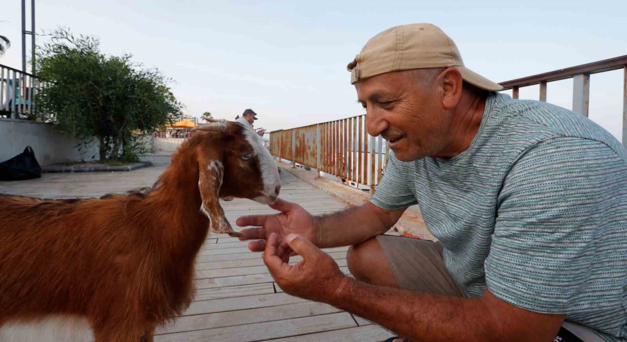 Hemcinsleri bıçak altına yatarken o deniz keyfi yaptı