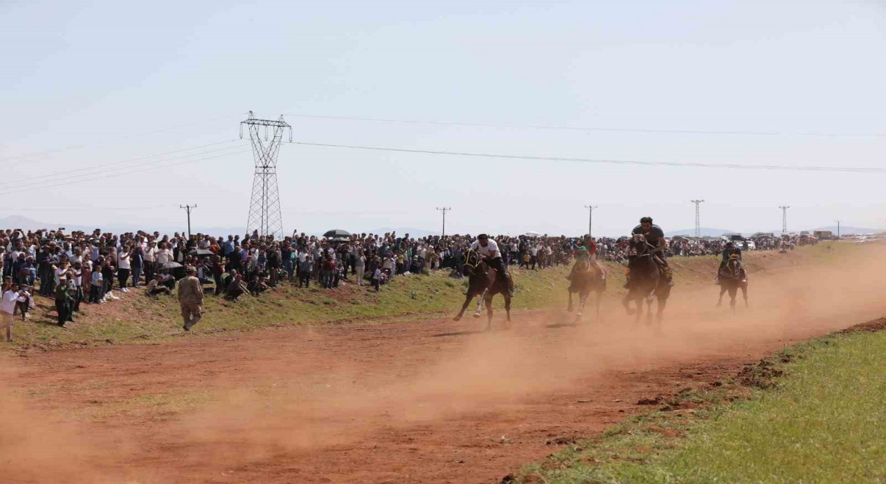Hınısta geleneksel At Yarışı Festivali
