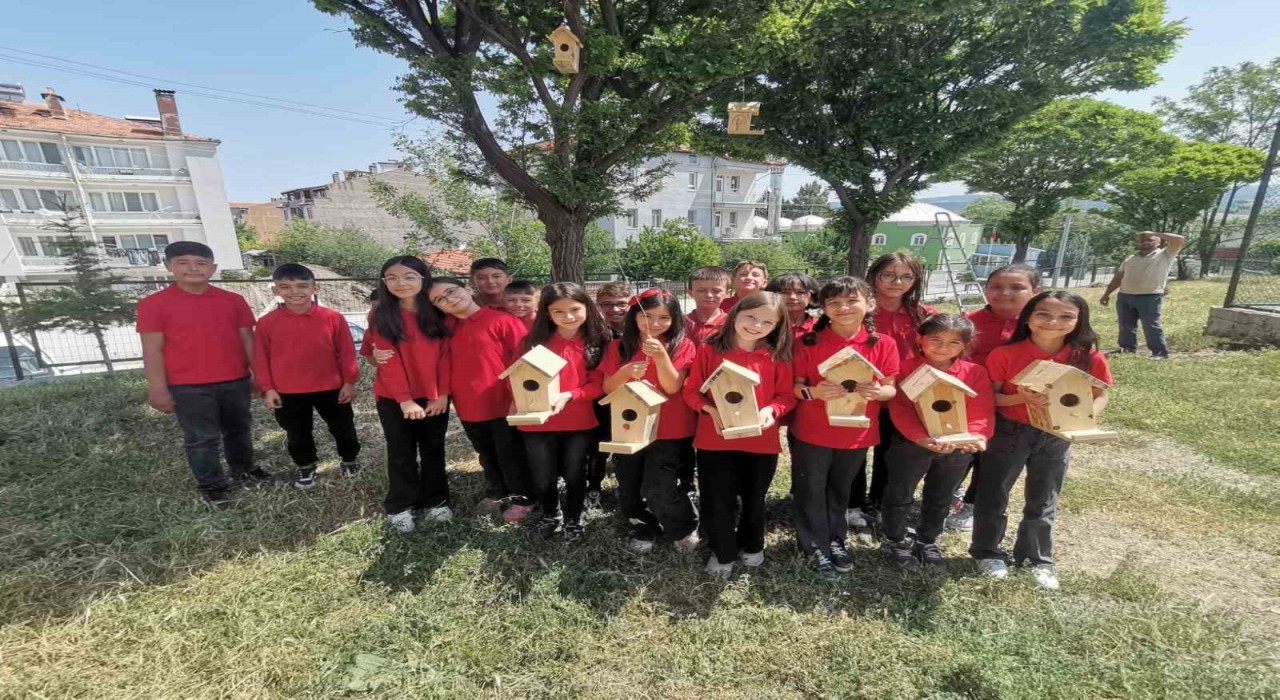 Hisarcıkta minik öğrenciler ağaçlara kuş yuvası astı