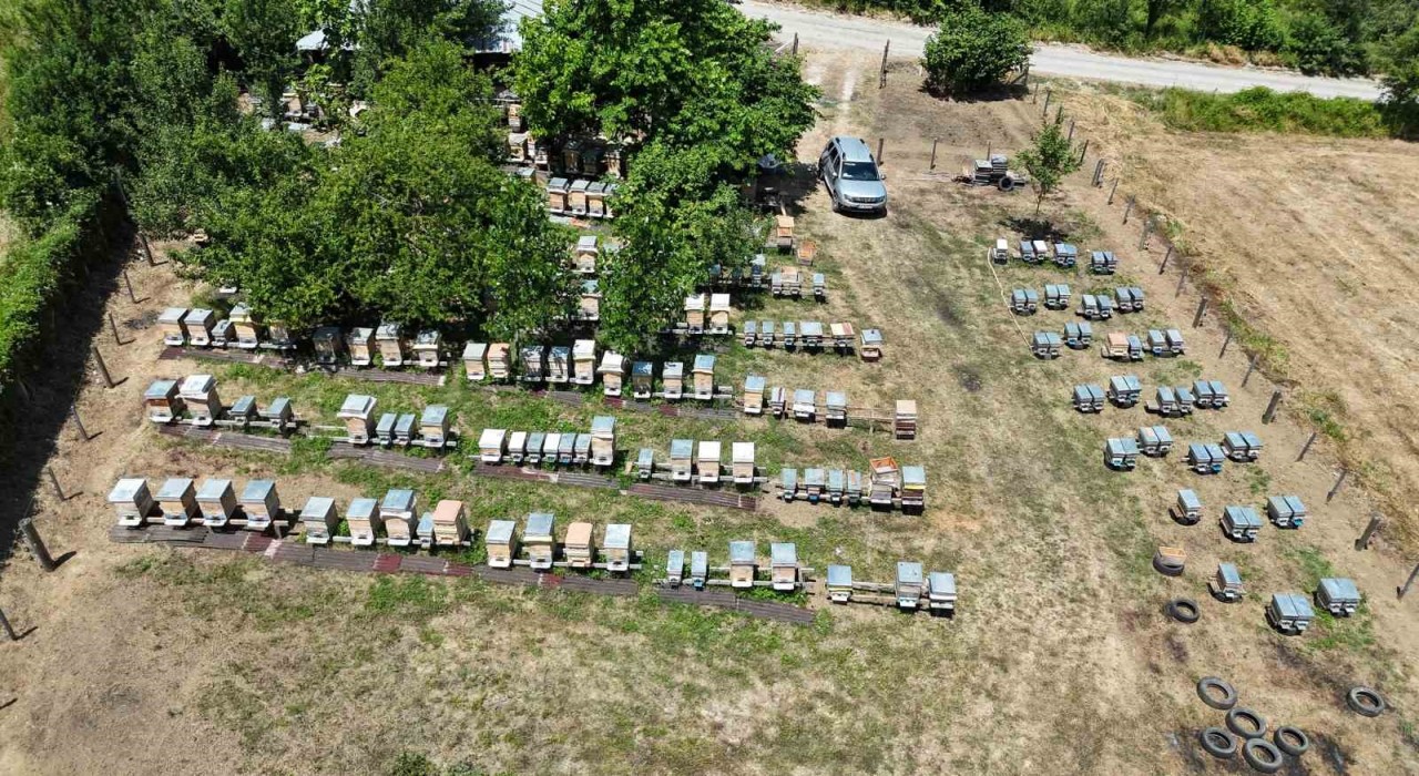 Hobi olarak başladığı arıcılık geçim kaynağı haline dönüştü