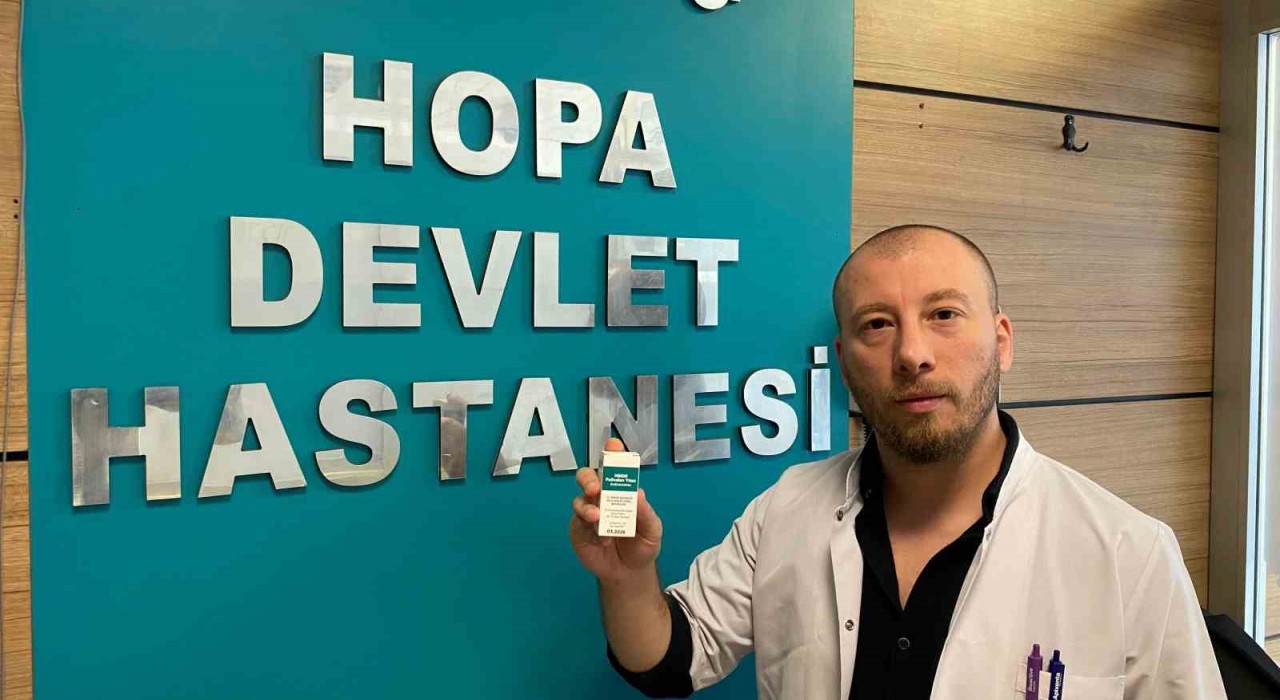 Hopada yılan sokmaları arttı, uzmanlar Hopa engereği konusunda uyardı