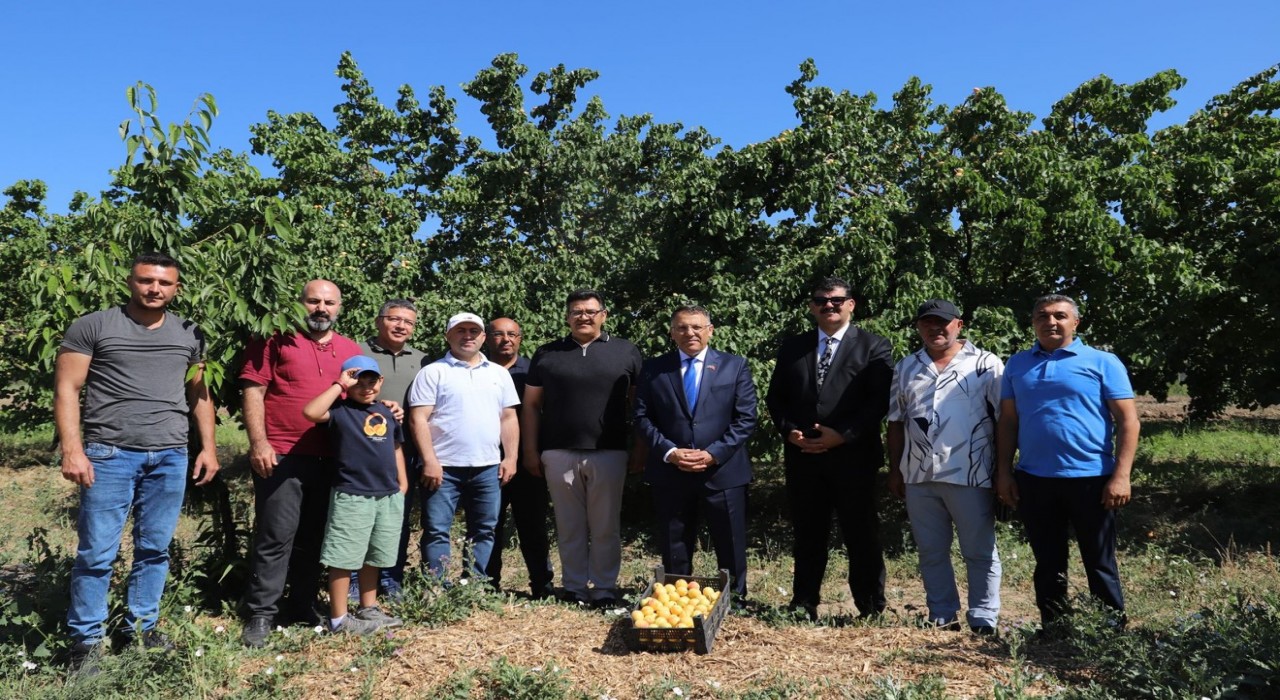 Iğdır Üniversitesi uygulama bahçesinde Kayısı Hasadı Etkinliği düzenlendi