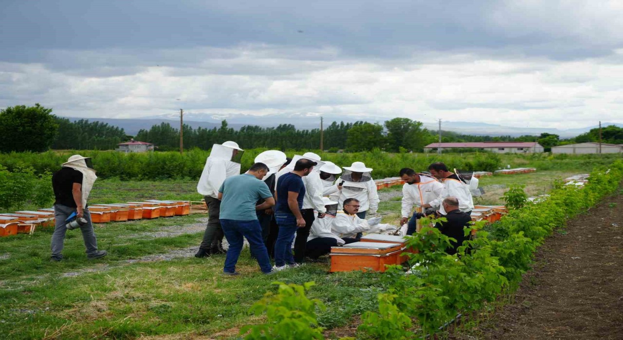 Iğdırda arı kovanı dağıtım töreni düzenlendi