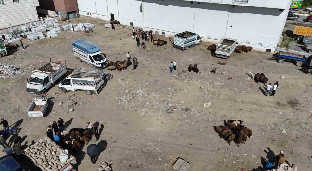 Iğdırda bayrama 1 gün kala kurbanlık telaşı havadan görüntülendi