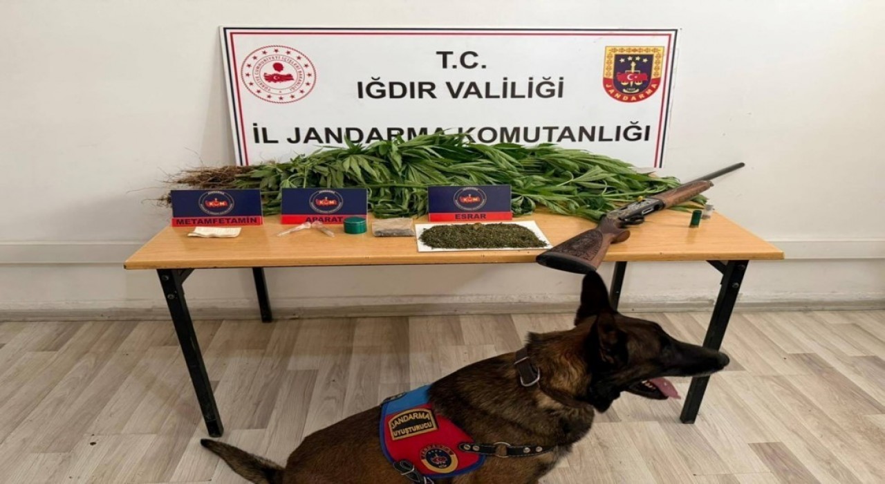 Iğdırda jandarmadan uyuşturucu operasyonu: 1 kişi tutuklandı