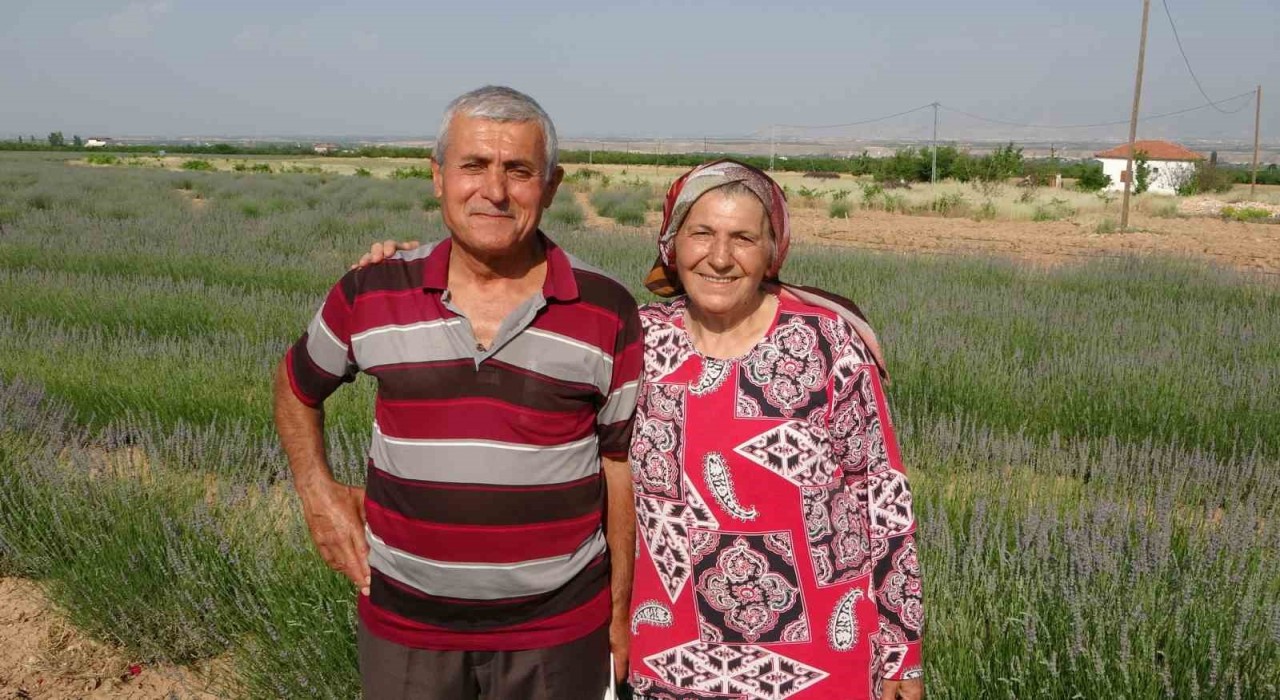İnternetten gördüler, lavanta üreticisi oldular