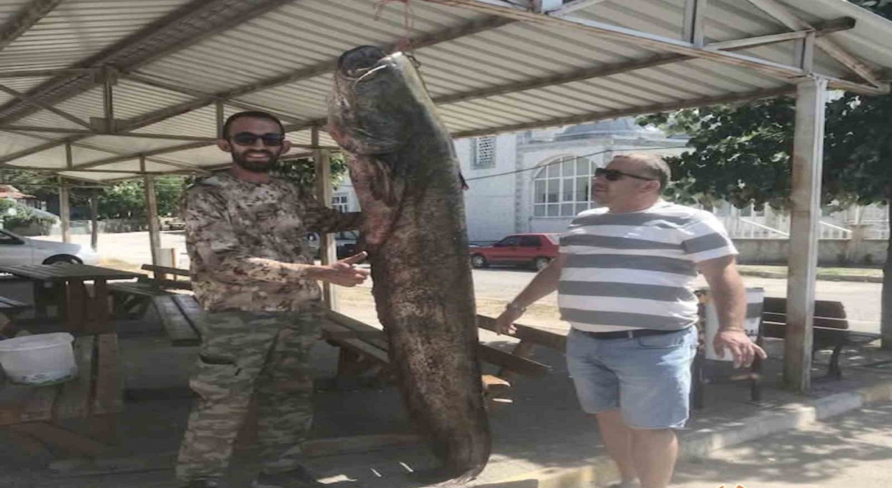 İpsalada ağlara 80 kilo ağırlığında yayın balığı takıldı