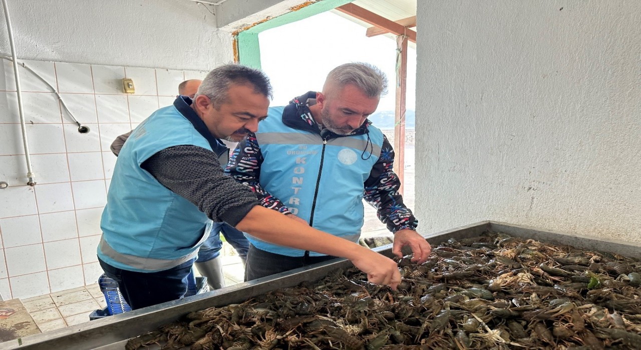 Ispartada su ürünleri av yasağı bugün itibarıyla sona erdi