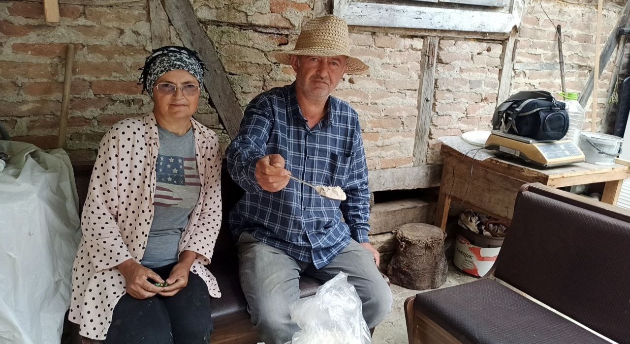 İstanbuldan memlekete dönen iki kardeş, 10 dönümlük arazide salep bitkisi yetiştiriyor