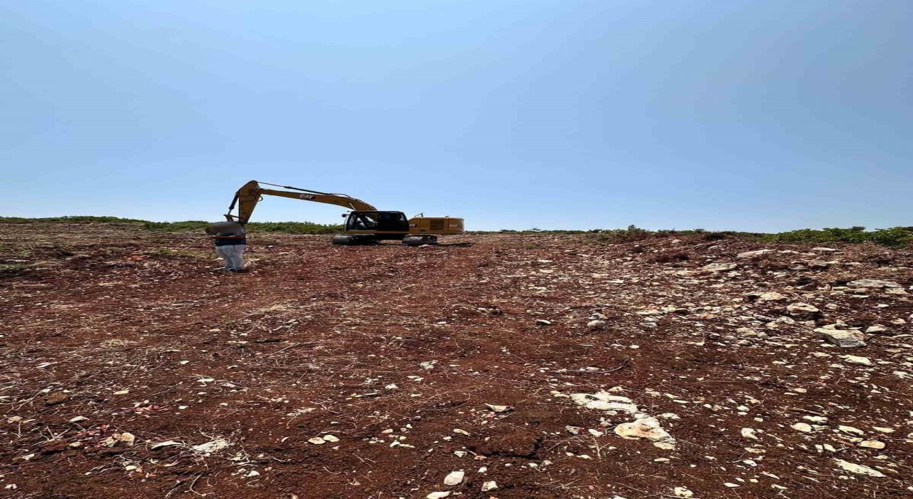 İzinsiz kazı yaparken yakalandılar