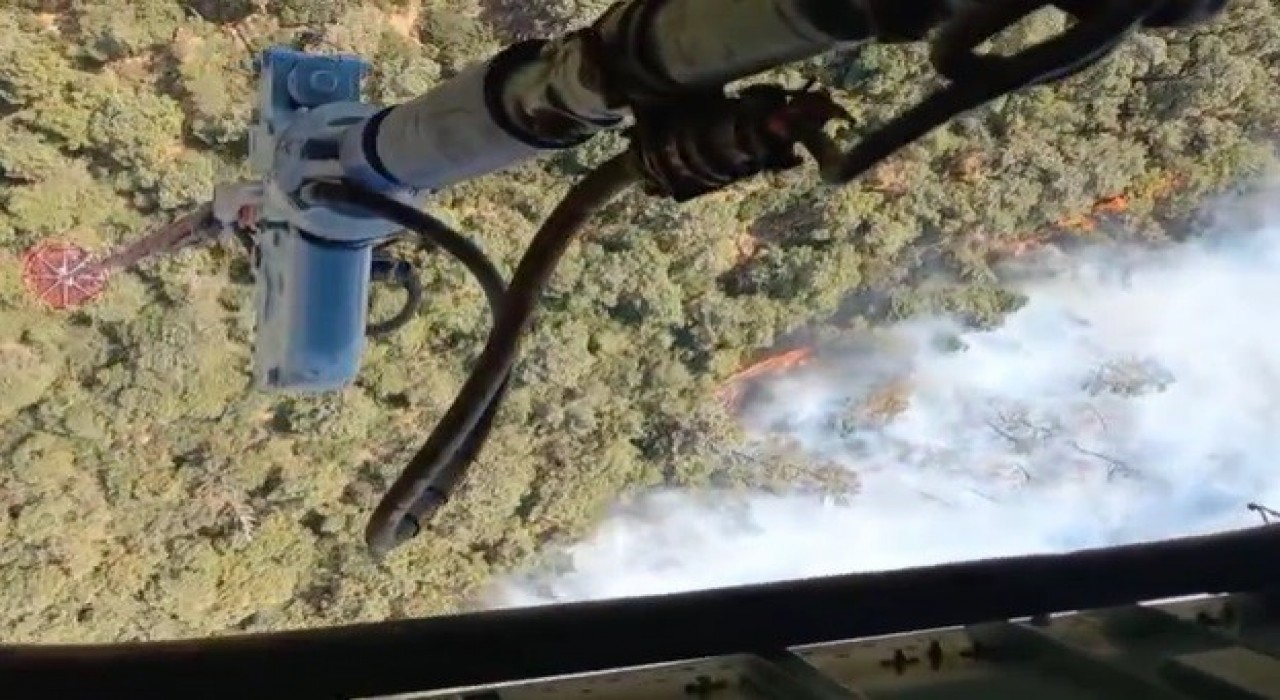 İzmir Foçada orman yangını: Havadan ve karadan müdahale başladı
