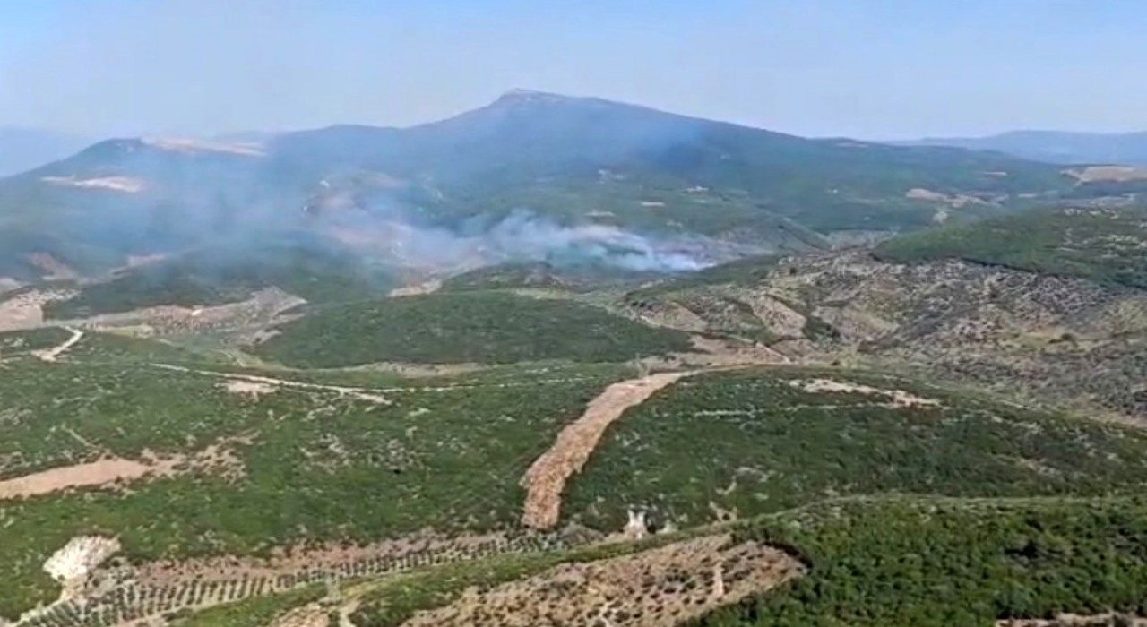 İzmir Torbalıda orman yangınına müdahale sürüyor