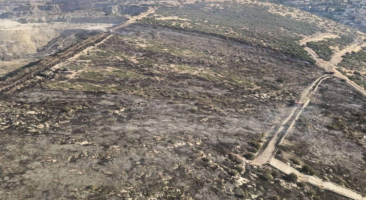 İzmirde makilik alandaki yangın kontrol altında
