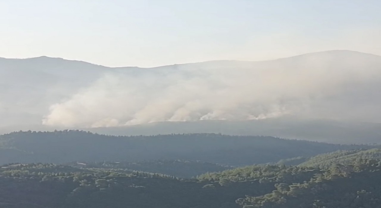 İzmirde orman yangını sürüyor... Günün aydınlanmasıyla havadan müdahale yeniden başladı