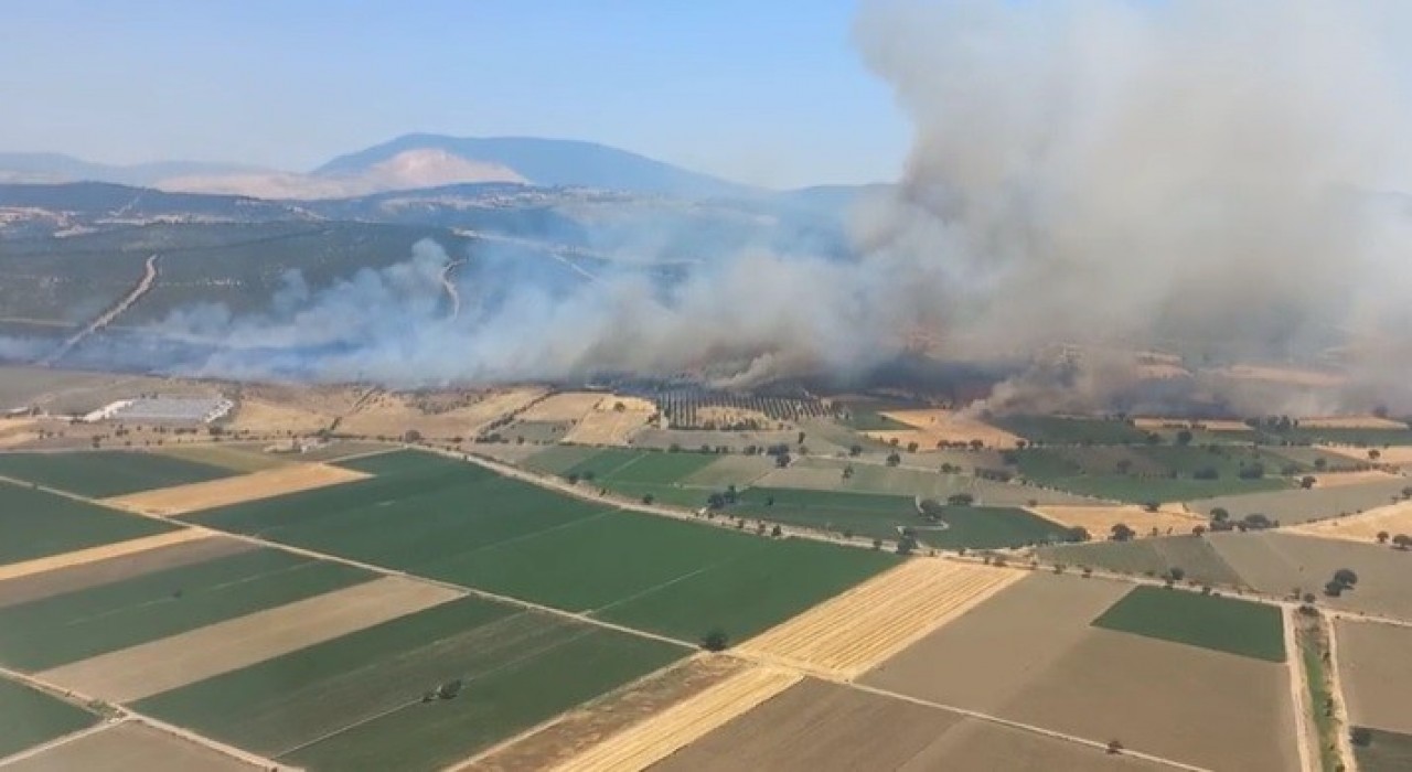İzmirde orman yangınına havadan ve karadan müdahale
