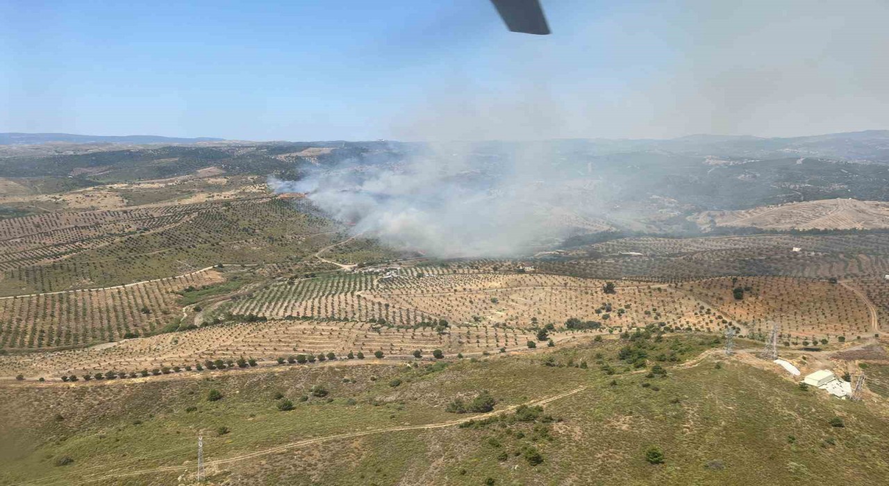 İzmirde ormanlık alanda yangına havadan ve karadan müdahale başladı