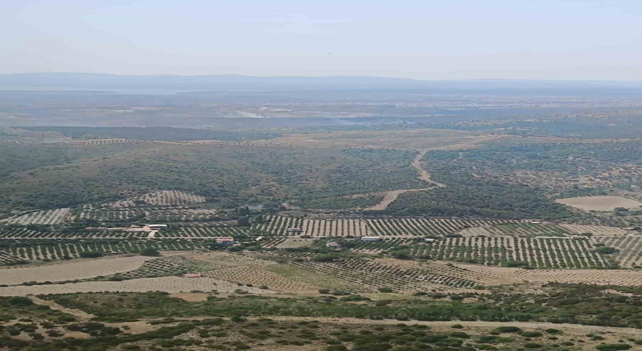 İzmirde ormanlık arazide çıkan yangın kontrol altında