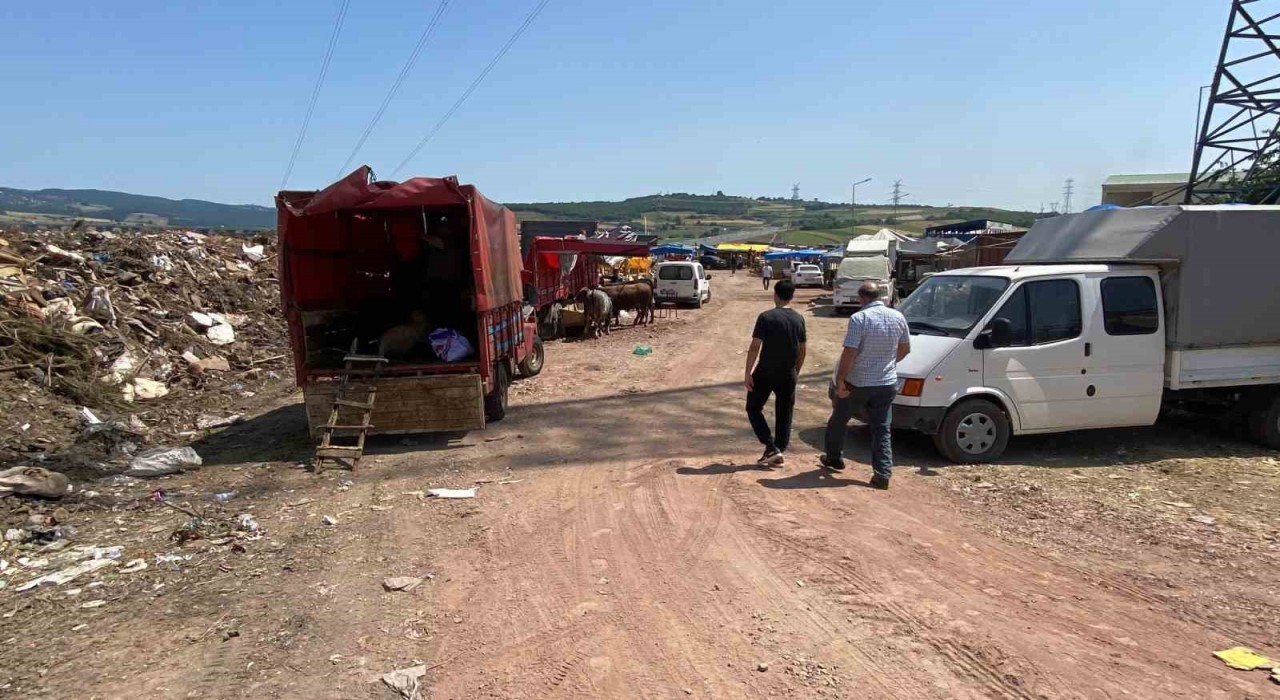 İzmitte çöplükte kurbanlık satışı