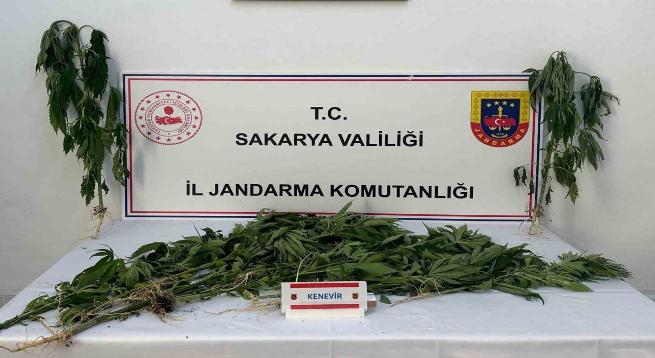 Jandarma uyuşturucuya geçit vermiyor: 3 tutuklama