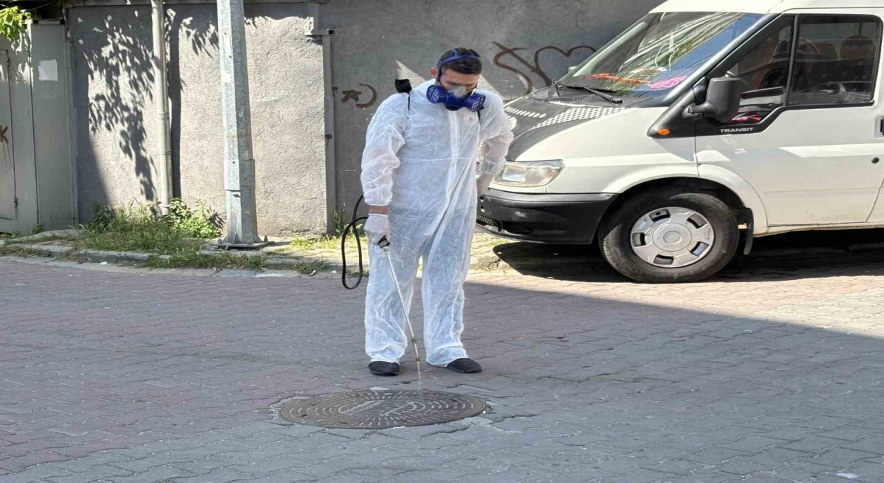 Kağıthanede yaz boyu haşerelere geçit yok