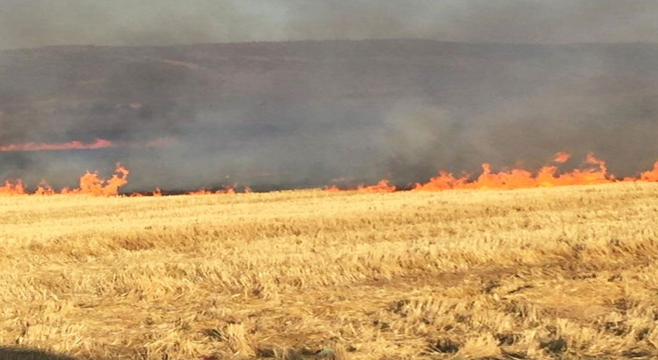 Kahramanmaraş Büyükşehir Belediyesi’nden Anız Yangınları Uyarısı