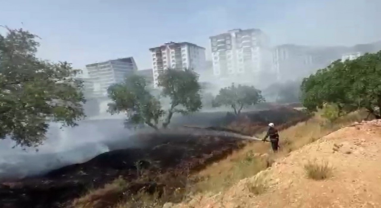 Kahramanmaraşta zeytinlik yangını