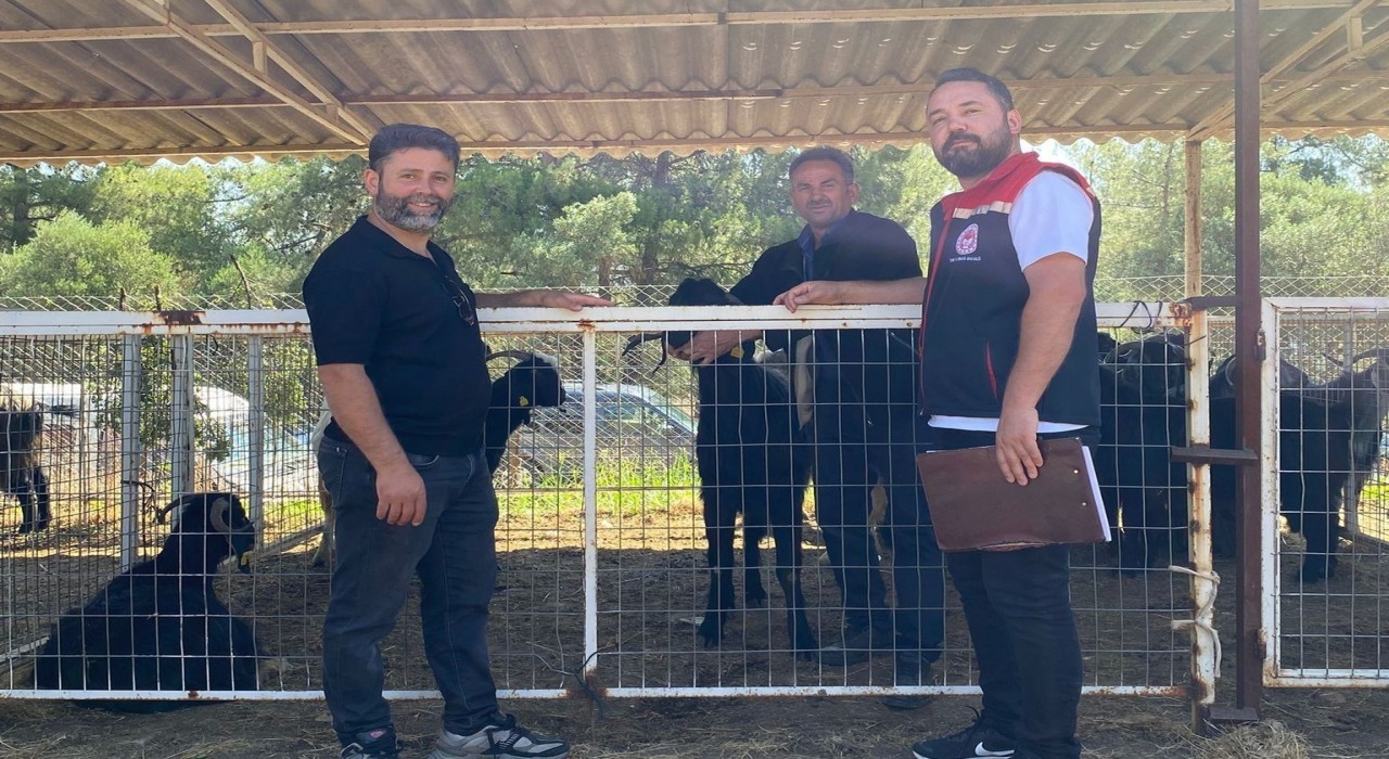 Karacasuda kurban satış yerleri denetlendi