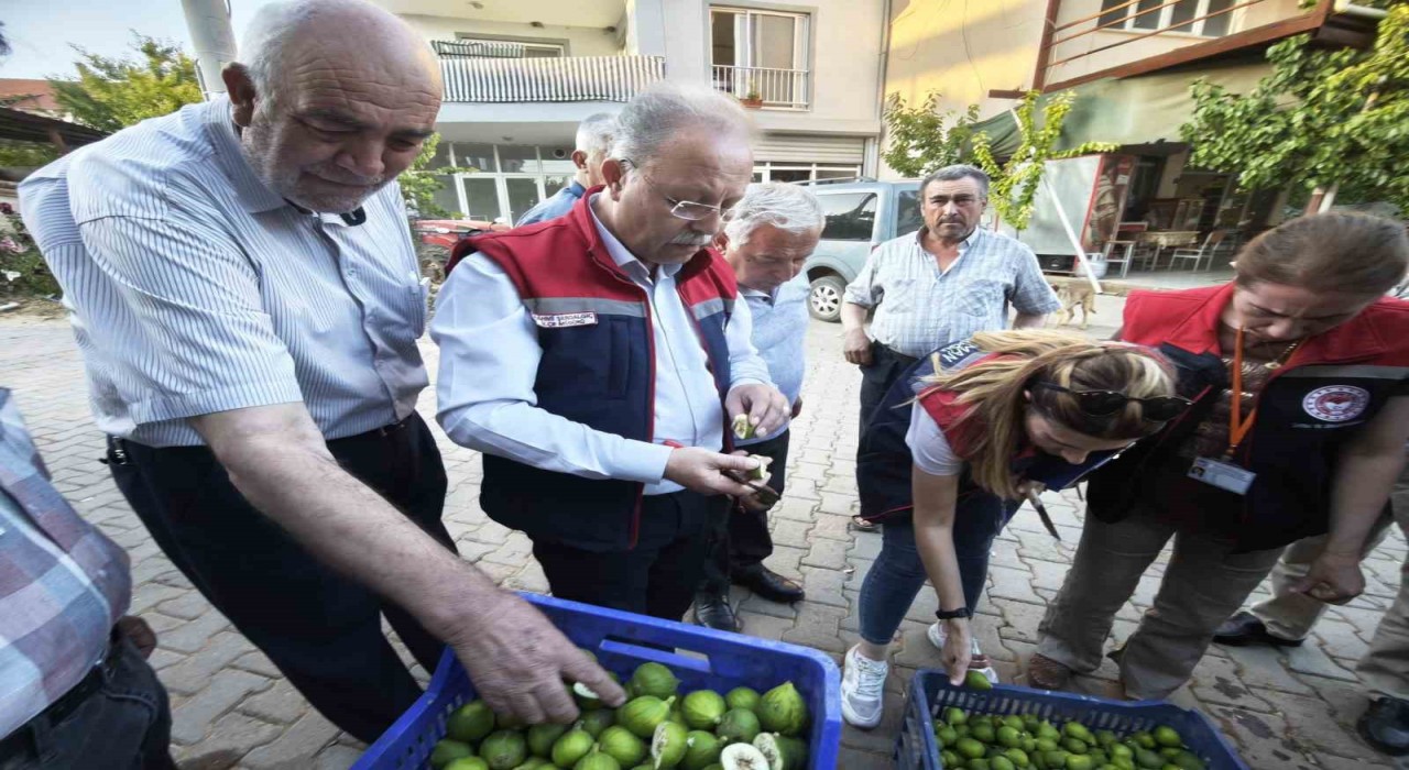 Karacasuda üreticiye kaliteli ilek uyarısı
